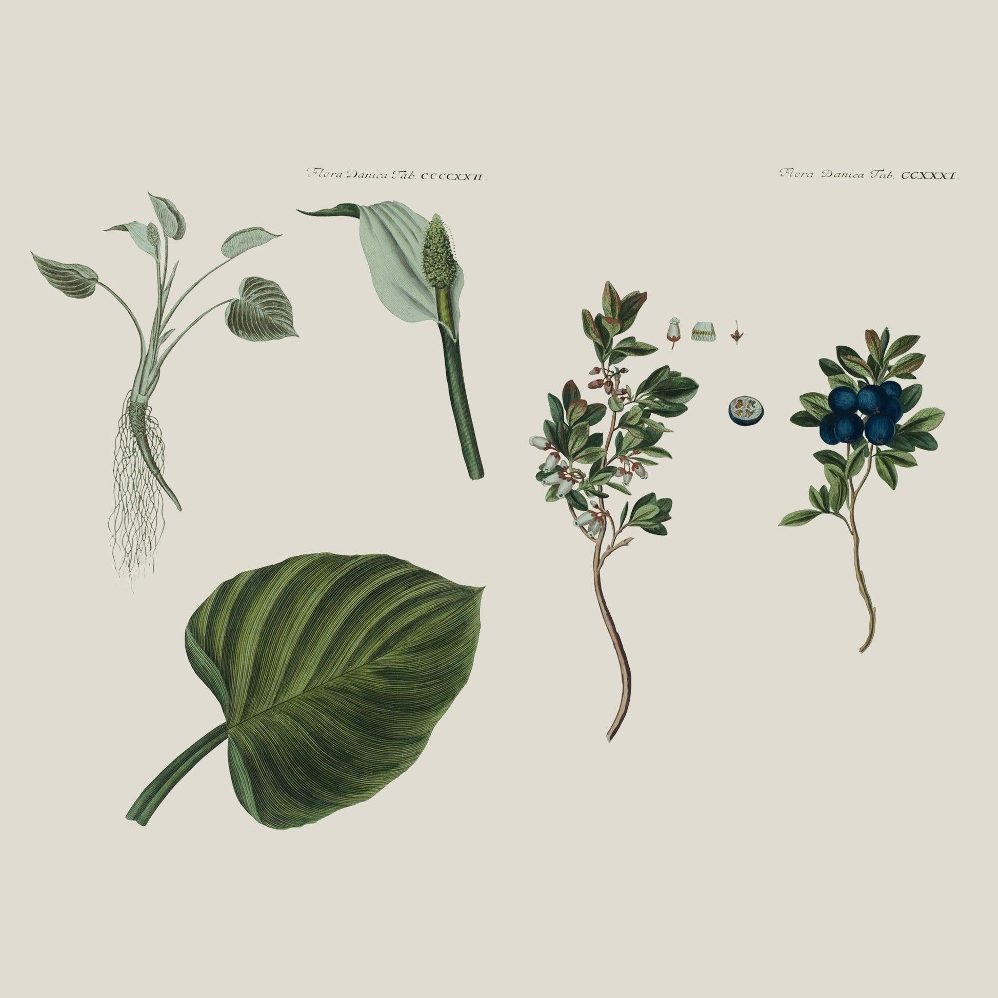 Flora Danica Denmark Flora Winter Garden silketørklæde Small scarf Flora Winter Garden Navy blue