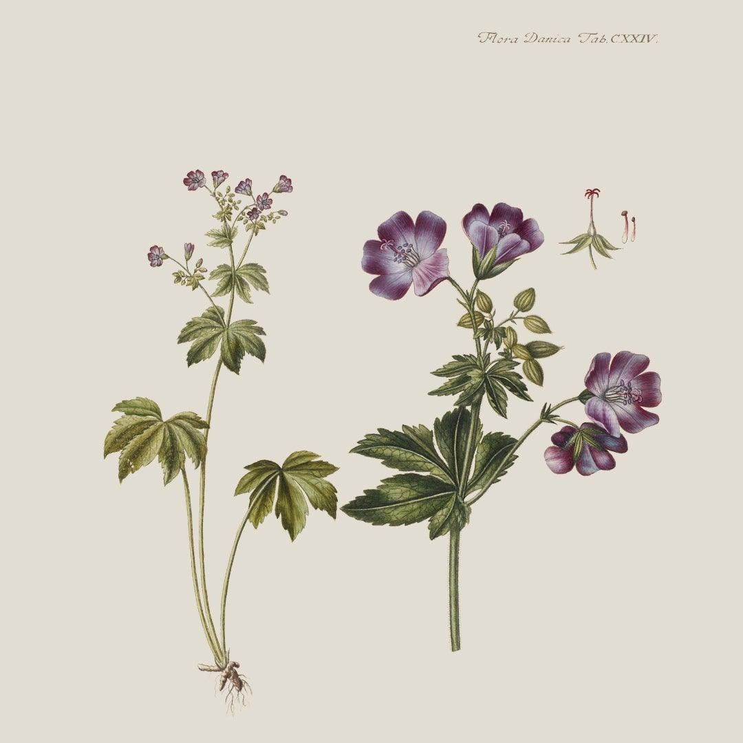 Flora Danica Denmark Flora Yellow Flower silketørklæde Large scarf Flora Yellow Flower