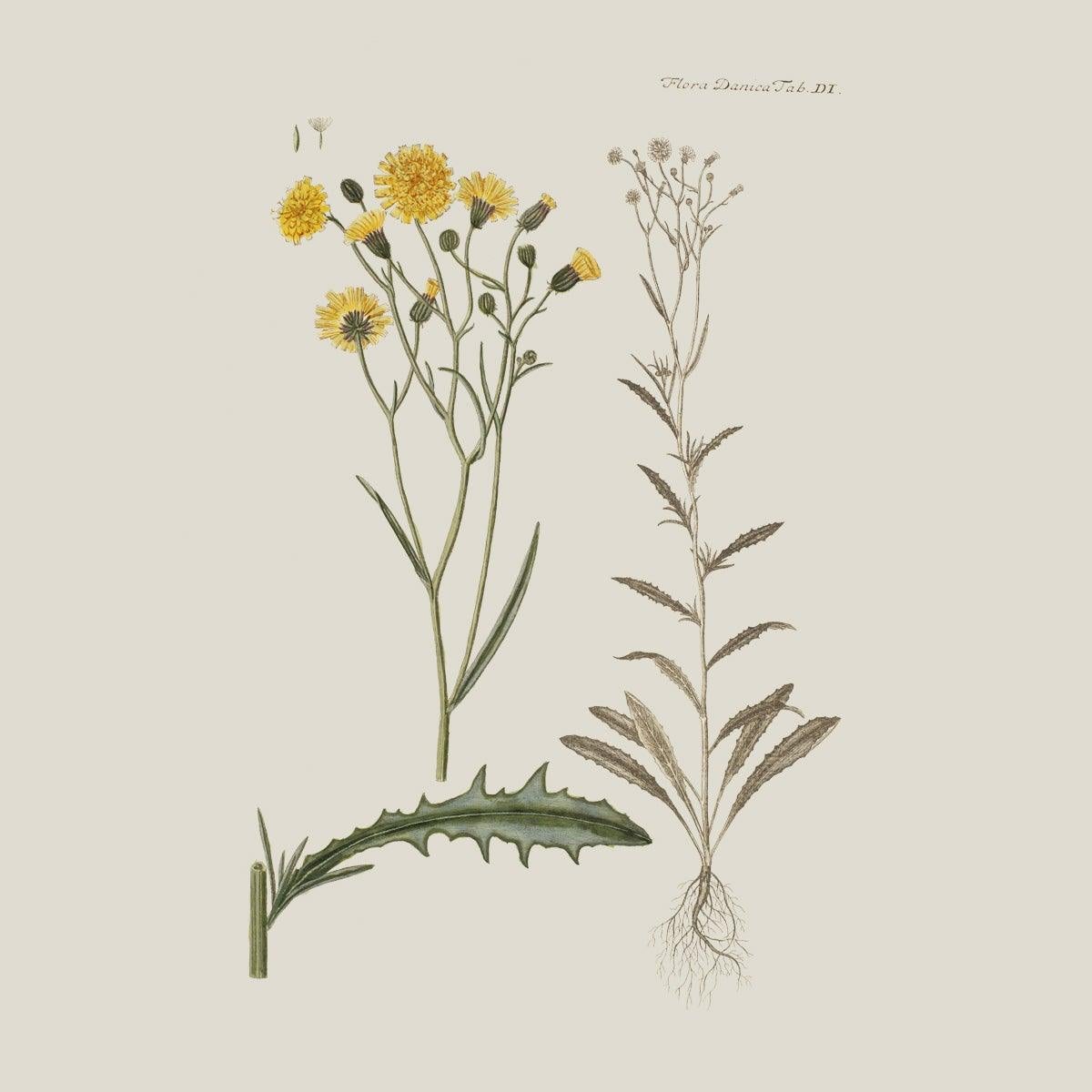 Flora Danica Denmark Flower Field silketørklæde Small scarf Flower Field Navy-Blue/orange