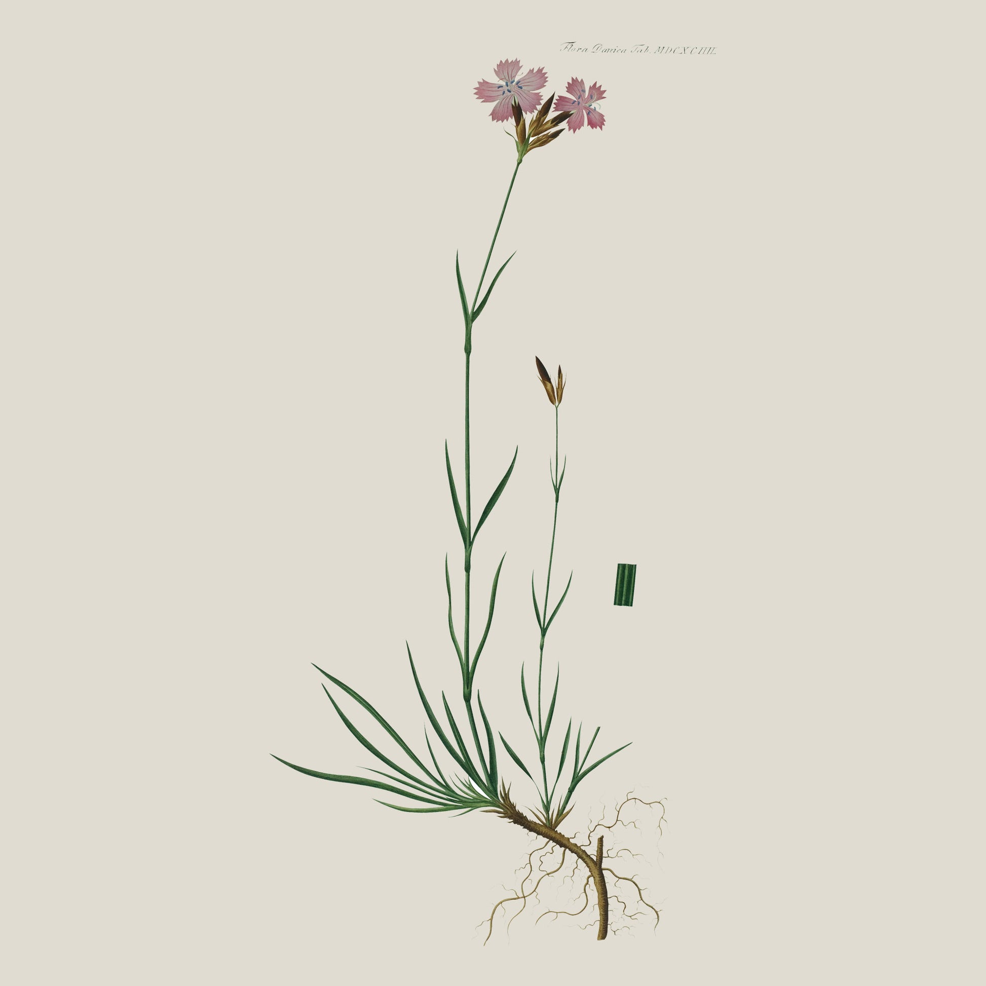 Flora Danica Denmark Geo Blossom silketørklæde Small scarf Geo Blossom Black/white