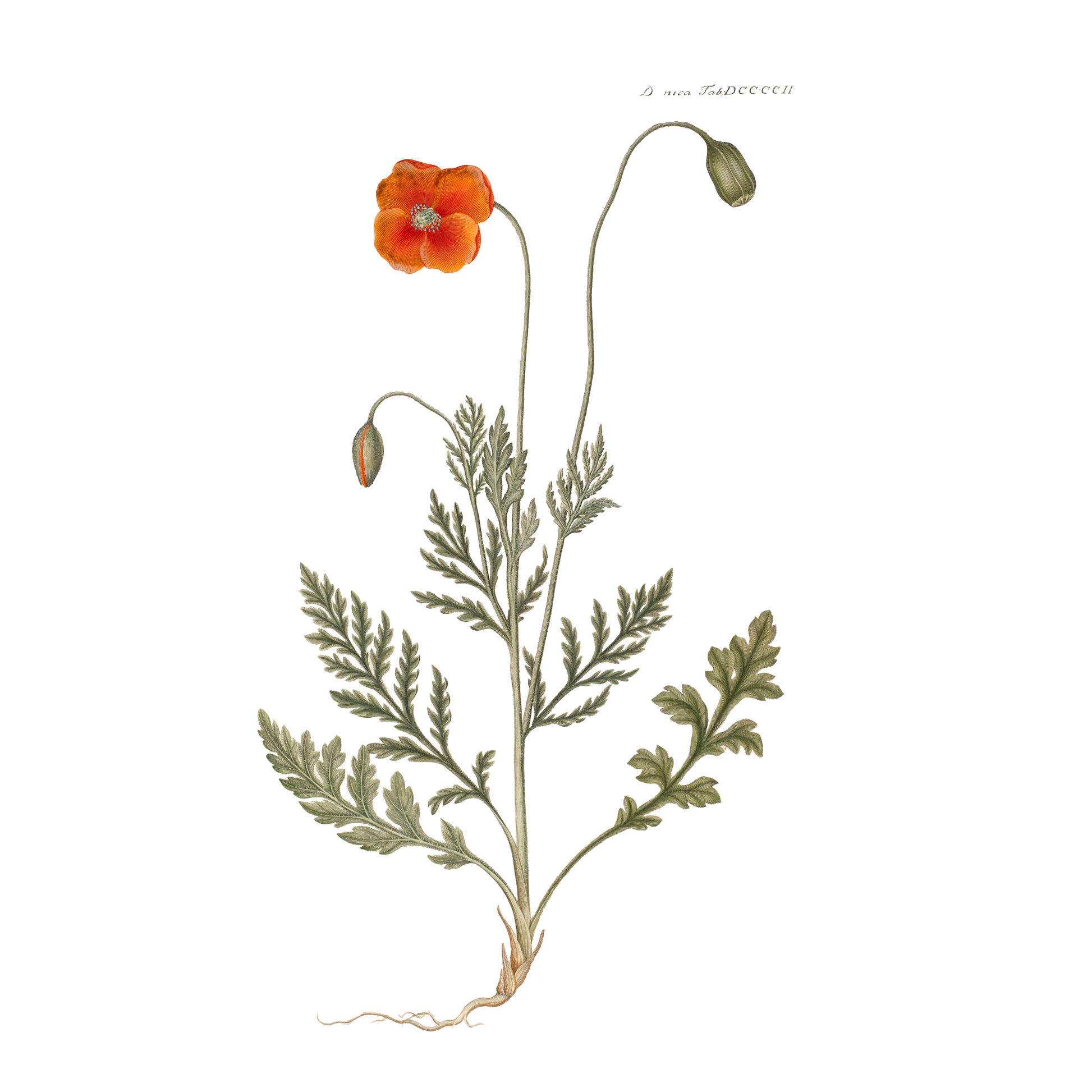 Flora Danica Denmark Wildframe 70 scarf Medium Dobbeltsided scarf Blue Mist