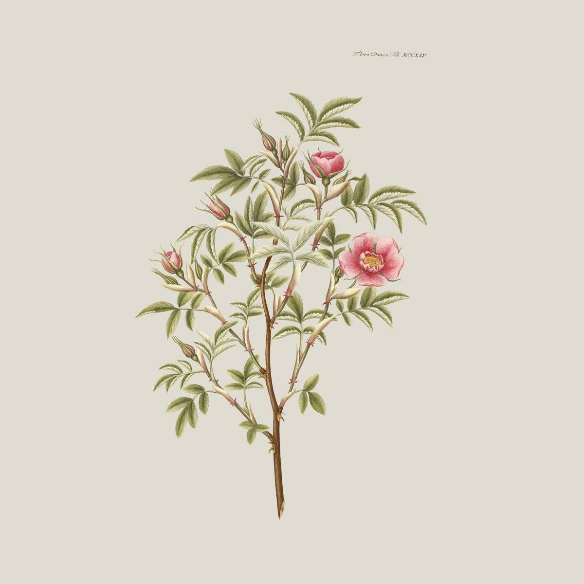 Pink Rose Tote bag - FLORA DANICA DENMARK